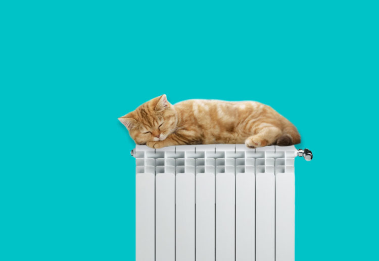 Киевлянам будут предлагать оплачивать отопление авансом