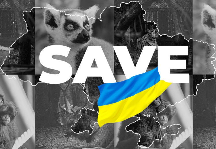 Допоможімо тваринам вижити! Допоможімо тваринам вижити!