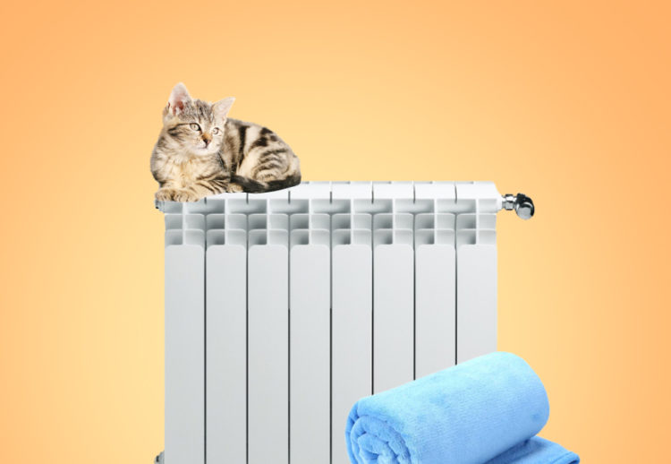 Как подготовиться к отключению отопления и электроэнергии в квартире